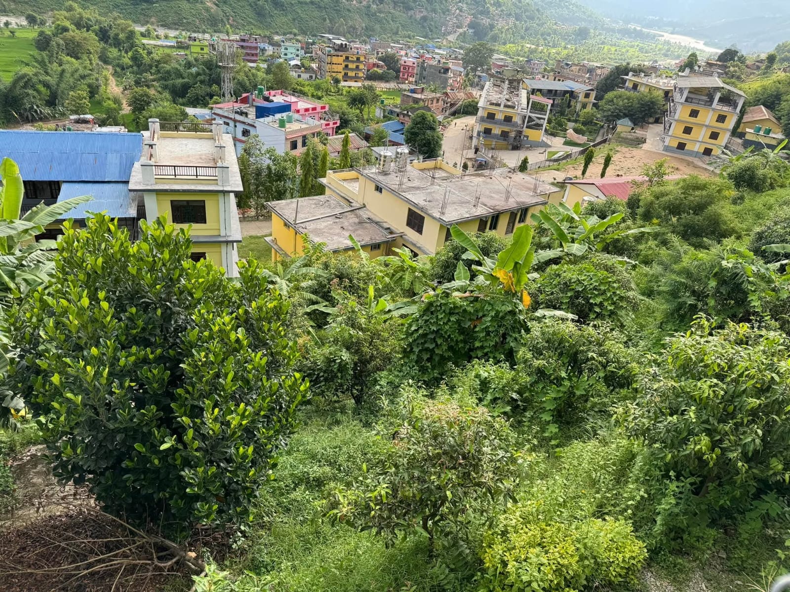 Schools Garden